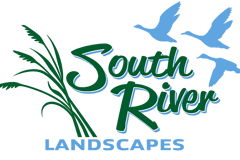 South River Landscapes