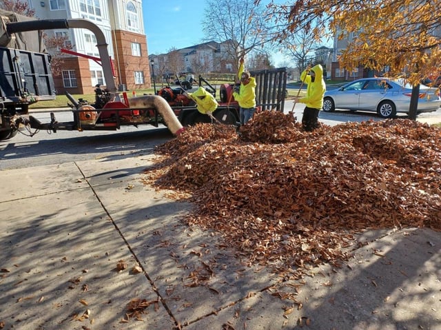 Professional crew performing seasonal leaf cleanup and maintenance services
