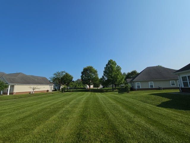 Every lawn maintained, ensuring a clean and uniform look throughout the neighborhood